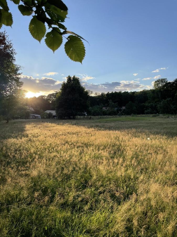 Spreewaldhaus Am Landgut - Pretschen Lägenhet Markische Heide Exteriör bild
